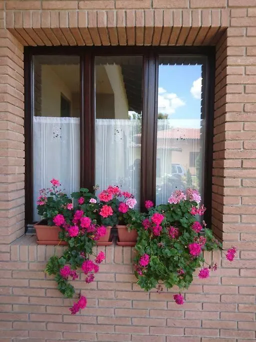 Guest House Brera Vicino Aeroporto Di Mxp E Laghi Varallo Pombia